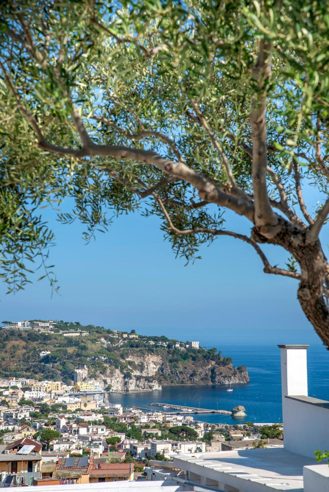 Hotel Bel Tramonto Casamicciola Terme Ngoại thất bức ảnh